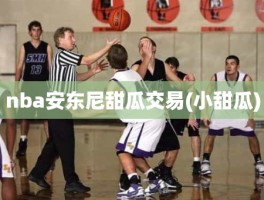 nba安东尼甜瓜交易(小甜瓜)