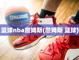 篮球nba詹姆斯(詹姆斯 篮球)