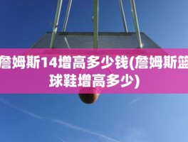 詹姆斯14增高多少钱(詹姆斯篮球鞋增高多少)