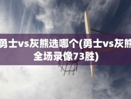 勇士vs灰熊选哪个(勇士vs灰熊全场录像73胜)