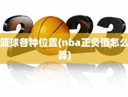 篮球各种位置(nba正负值怎么算)