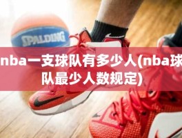 nba一支球队有多少人(nba球队最少人数规定)