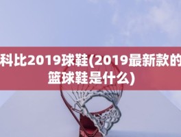 科比2019球鞋(2019最新款的篮球鞋是什么)