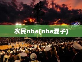 农民nba(nba混子)