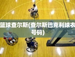 篮球查尔斯(查尔斯巴克利球衣号码)