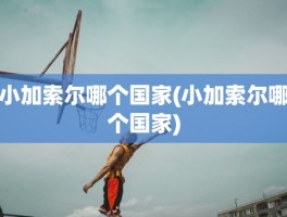 小加索尔哪个国家(小加索尔哪个国家)