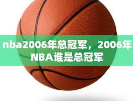 nba2006年总冠军，2006年NBA谁是总冠军