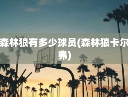 森林狼有多少球员(森林狼卡尔弗)