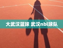 大武汉篮球 武汉nbl球队