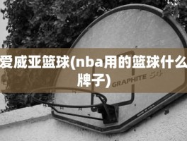 爱威亚篮球(nba用的篮球什么牌子)