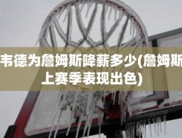 韦德为詹姆斯降薪多少(詹姆斯上赛季表现出色)