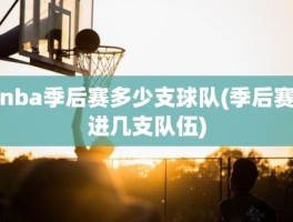 nba季后赛多少支球队(季后赛进几支队伍)