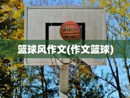 篮球风作文(作文篮球)