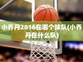 小乔丹2016在哪个球队(小乔丹在什么队)