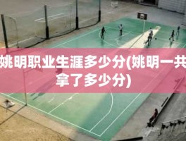 姚明职业生涯多少分(姚明一共拿了多少分)