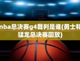 nba总决赛g4裁判是谁(勇士和猛龙总决赛回放)