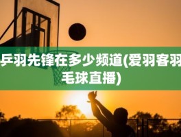 乒羽先锋在多少频道(爱羽客羽毛球直播)