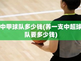 中甲球队多少钱(养一支中超球队要多少钱)