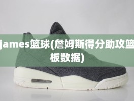 james篮球(詹姆斯得分助攻篮板数据)