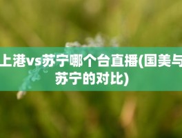 上港vs苏宁哪个台直播(国美与苏宁的对比)