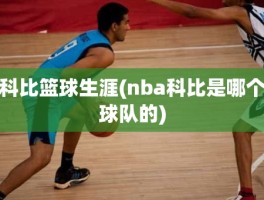 科比篮球生涯(nba科比是哪个球队的)