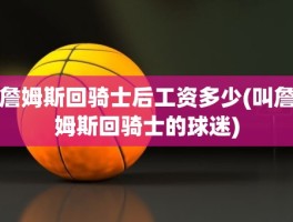 詹姆斯回骑士后工资多少(叫詹姆斯回骑士的球迷)