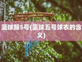 篮球服5号(篮球五号球衣的含义)