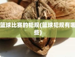 篮球比赛的犯规(篮球犯规有哪些)