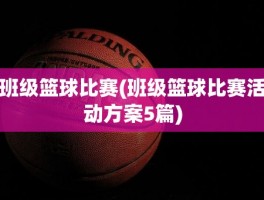 班级篮球比赛(班级篮球比赛活动方案5篇)