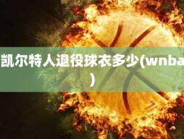 凯尔特人退役球衣多少(wnba)