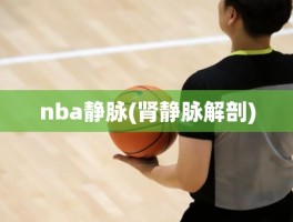 nba静脉(肾静脉解剖)