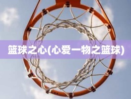 篮球之心(心爱一物之篮球)