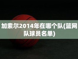 加索尔2014年在哪个队(篮网队球员名单)