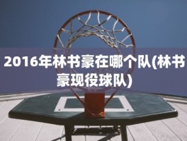 2016年林书豪在哪个队(林书豪现役球队)