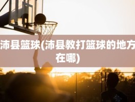 沛县篮球(沛县教打篮球的地方在哪)
