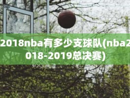 2018nba有多少支球队(nba2018-2019总决赛)