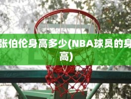 张伯伦身高多少(NBA球员的身高)