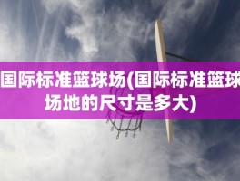 国际标准篮球场(国际标准篮球场地的尺寸是多大)