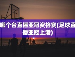 哪个台直播亚冠资格赛(足球直播亚冠上港)