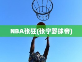 NBA张狂(张宁野球帝)