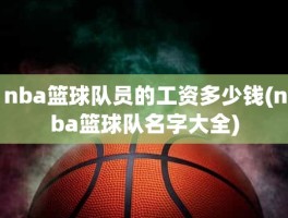 nba篮球队员的工资多少钱(nba篮球队名字大全)