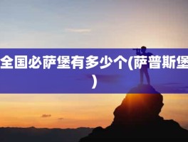 全国必萨堡有多少个(萨普斯堡)