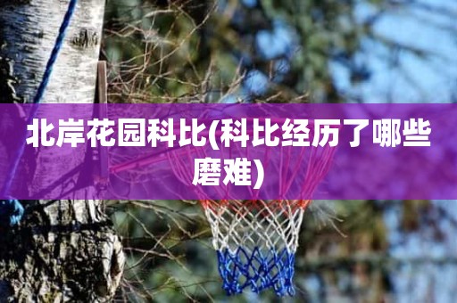 北岸花园科比(科比经历了哪些磨难) 北岸花园科比(科比经历了哪些磨难)