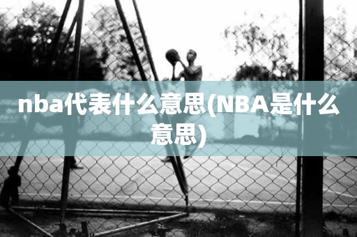 nba代表什么意思(NBA是什么意思)