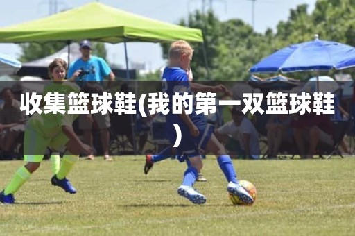 收集篮球鞋(我的第一双篮球鞋) 收集篮球鞋(我的第一双篮球鞋)