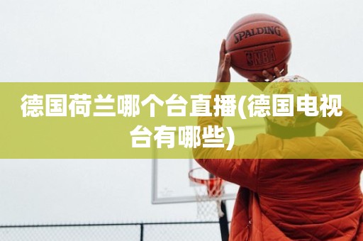 德国荷兰哪个台直播(德国电视台有哪些) 德国荷兰哪个台直播(德国电视台有哪些)