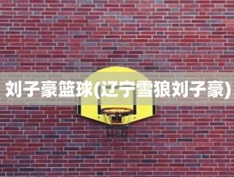 刘子豪篮球(辽宁雪狼刘子豪)