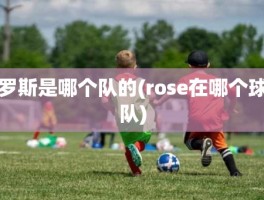 罗斯是哪个队的(rose在哪个球队)