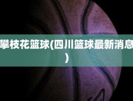 攀枝花篮球(四川篮球最新消息)