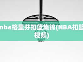 nba格里芬扣篮集锦(NBA扣篮视频)